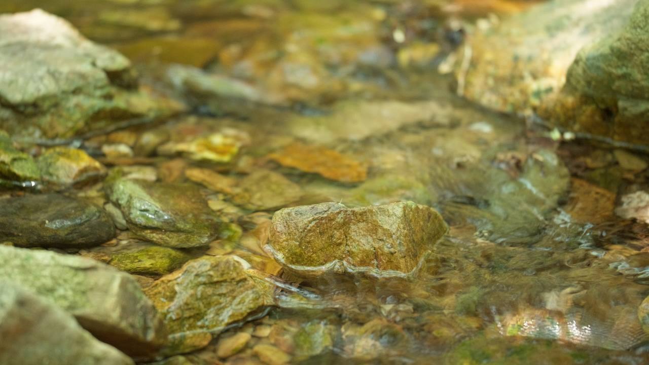 山泉水矿泉水潺潺小溪流水瀑布 24