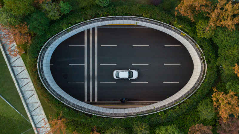 圆中车