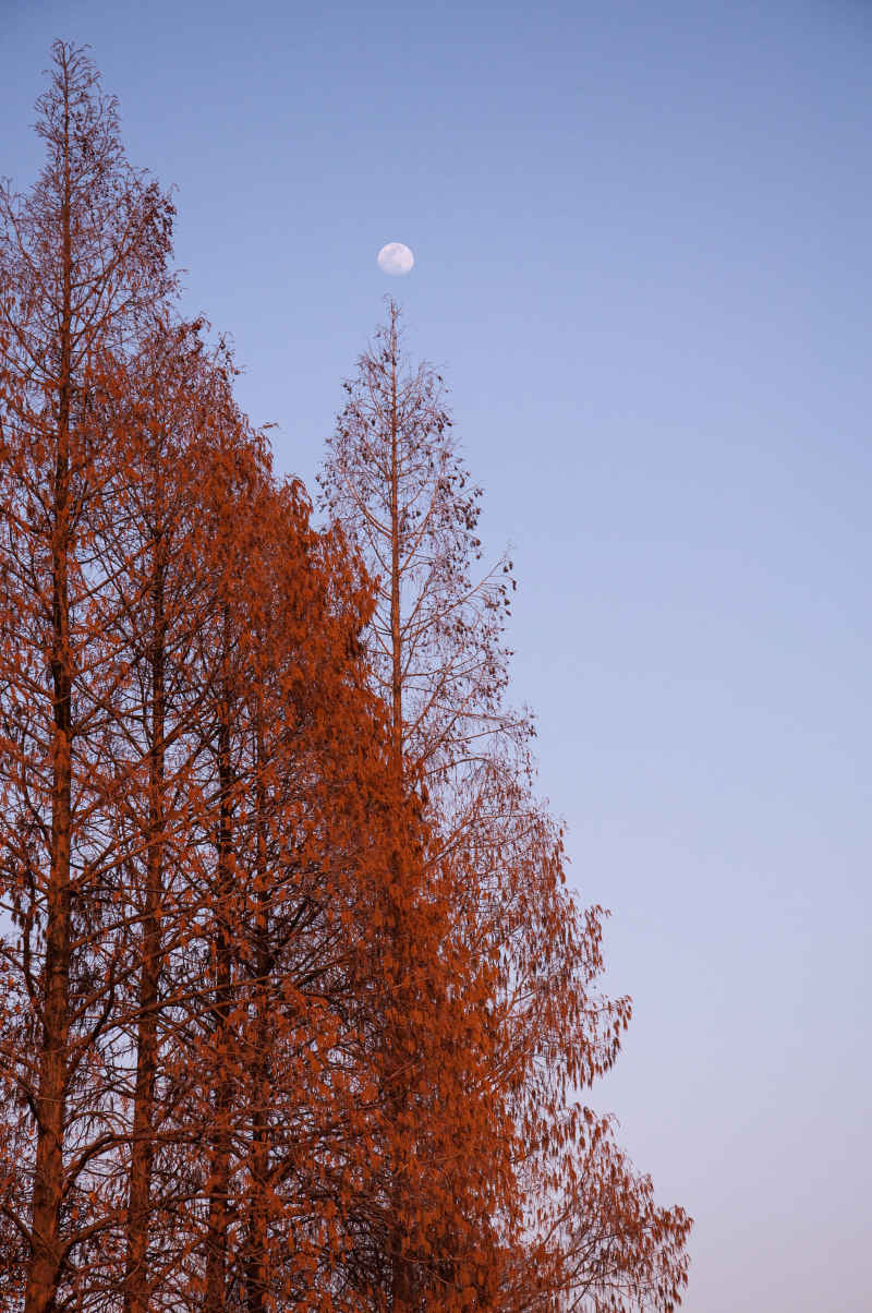 月