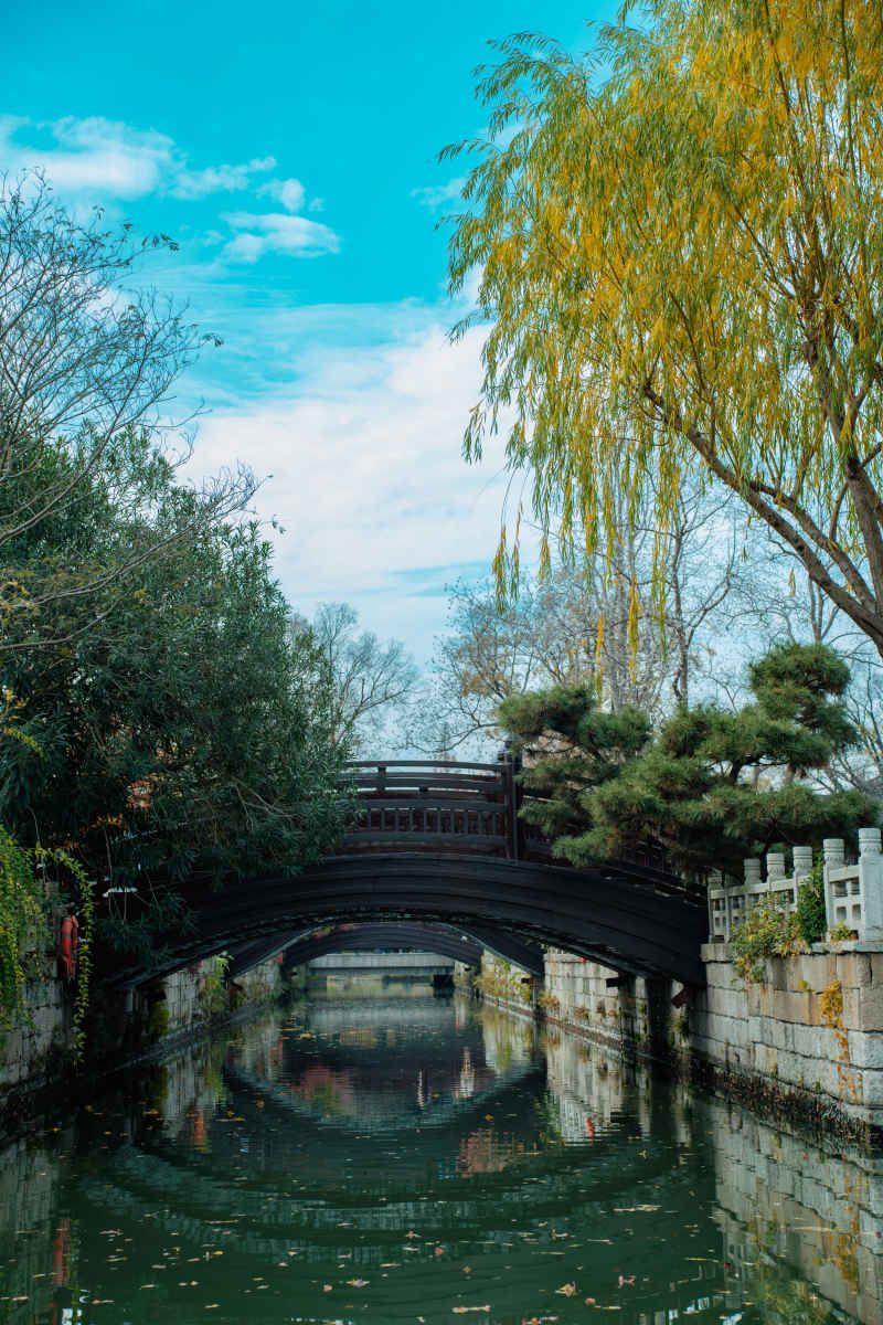 风景