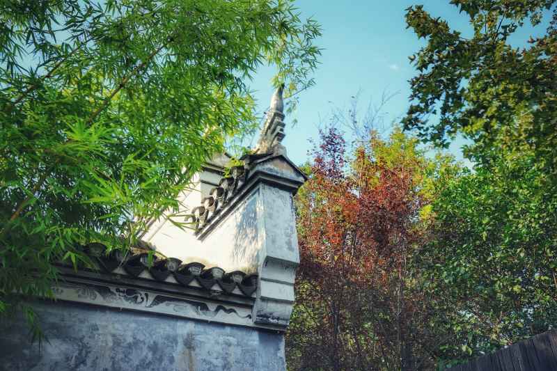 森林下的古代建筑