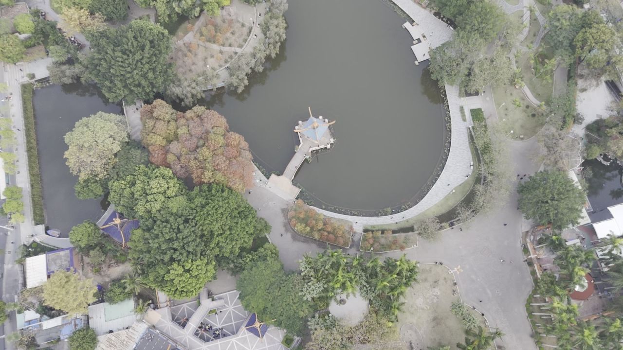 垂直于公园湖面飞行