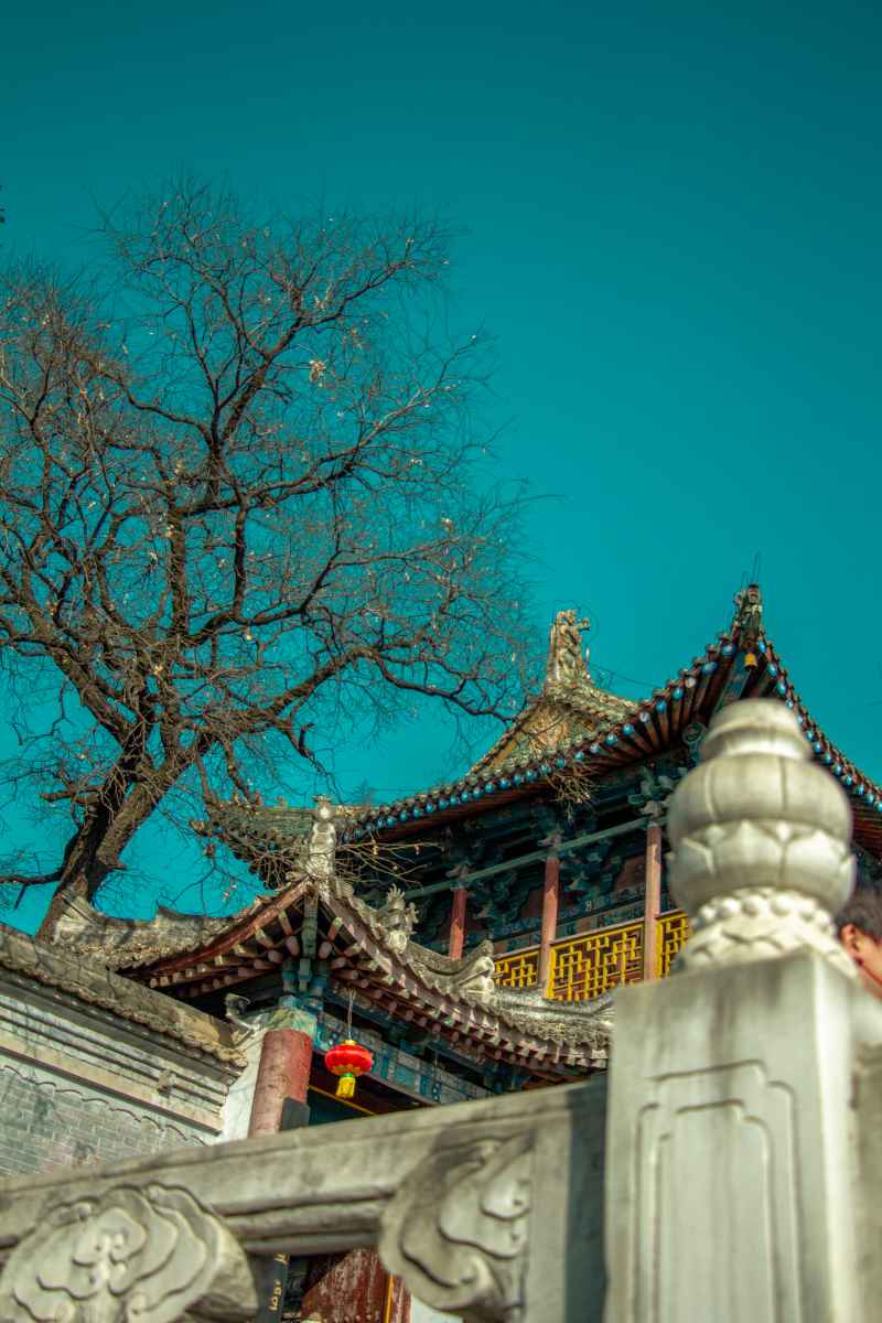 雄丽