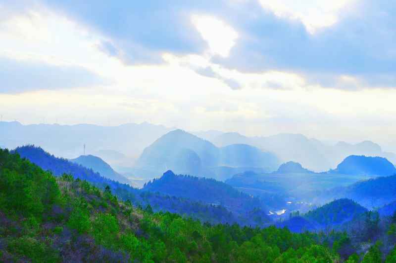 山
