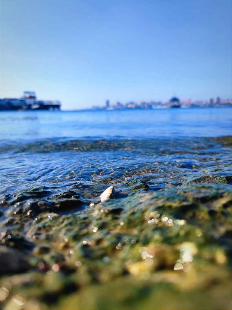 蓝色地平线
