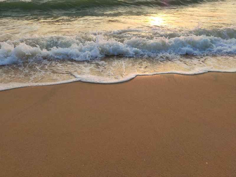 金色海滩 7