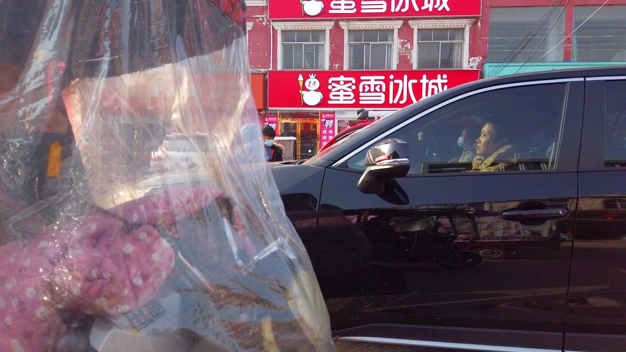 农村新年赶集市 8