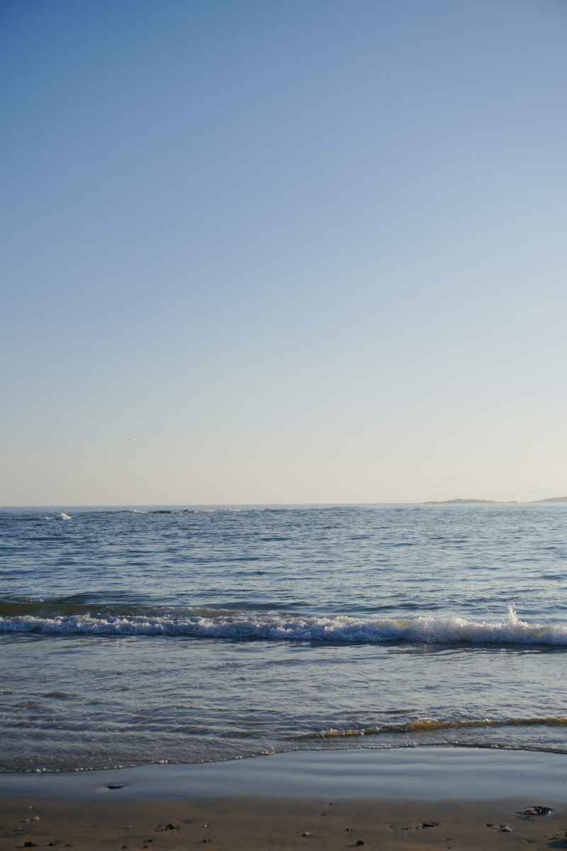 海岸线