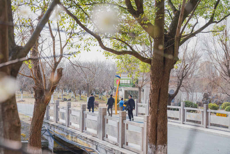 踏青赏春 1
