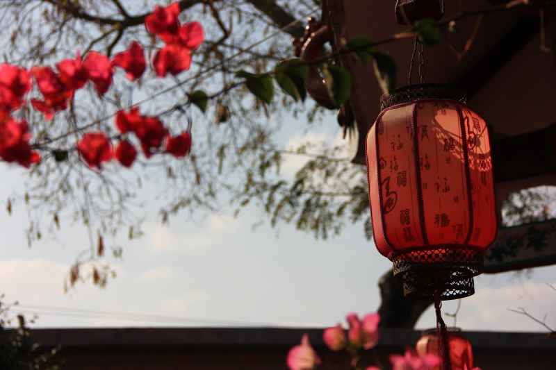 春天