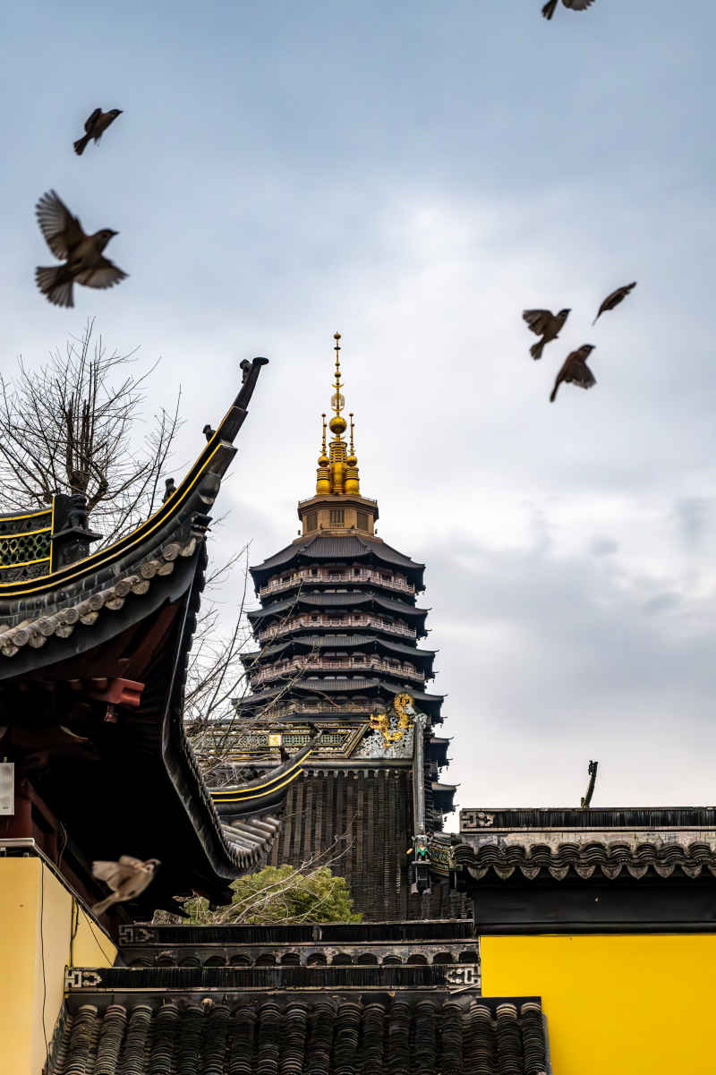 塔与鸟