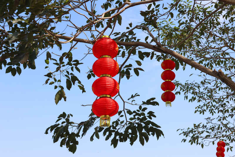蓝天树上红灯笼2