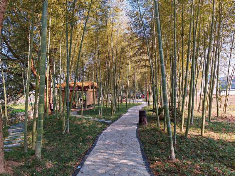 家乡的风景 8