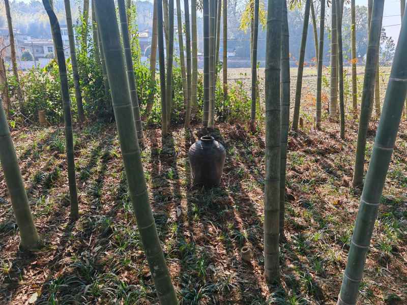 家乡的风景 9