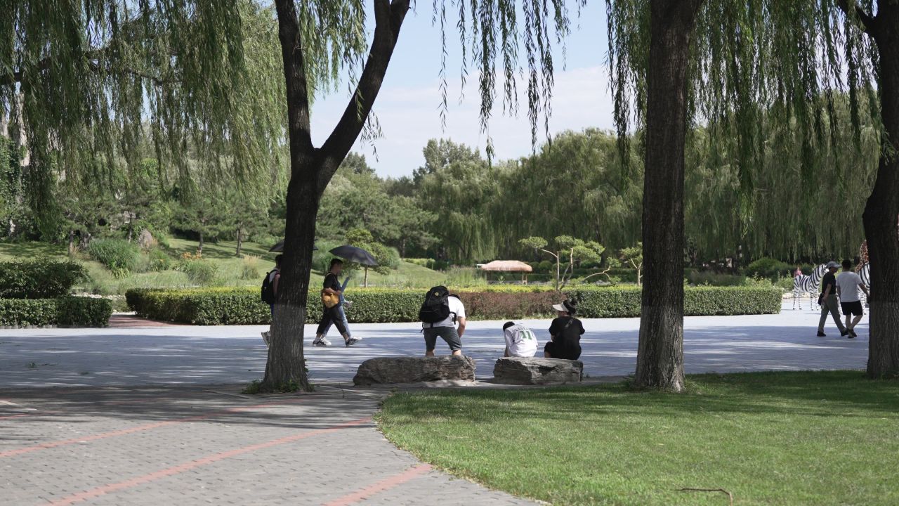 北京野生动物园 动物合辑 20