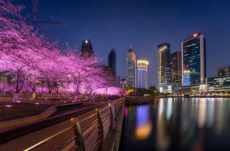 武汉西北湖夜樱