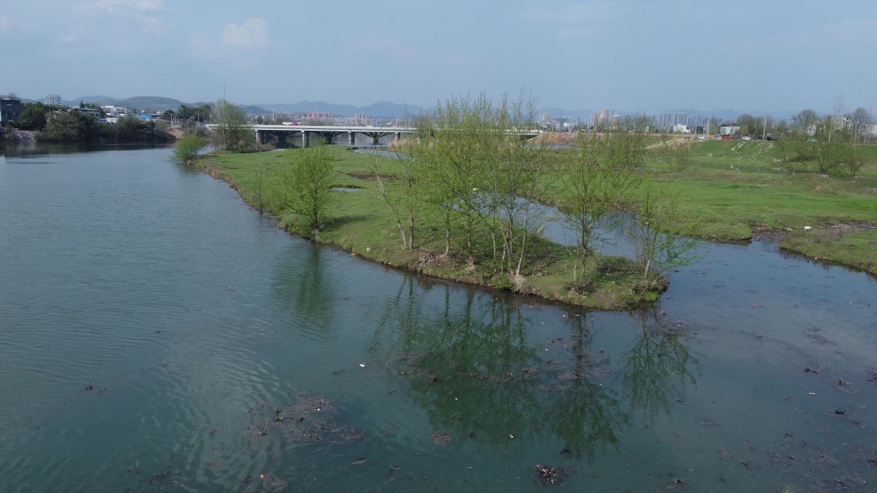 无人机，水面，春天，柳树