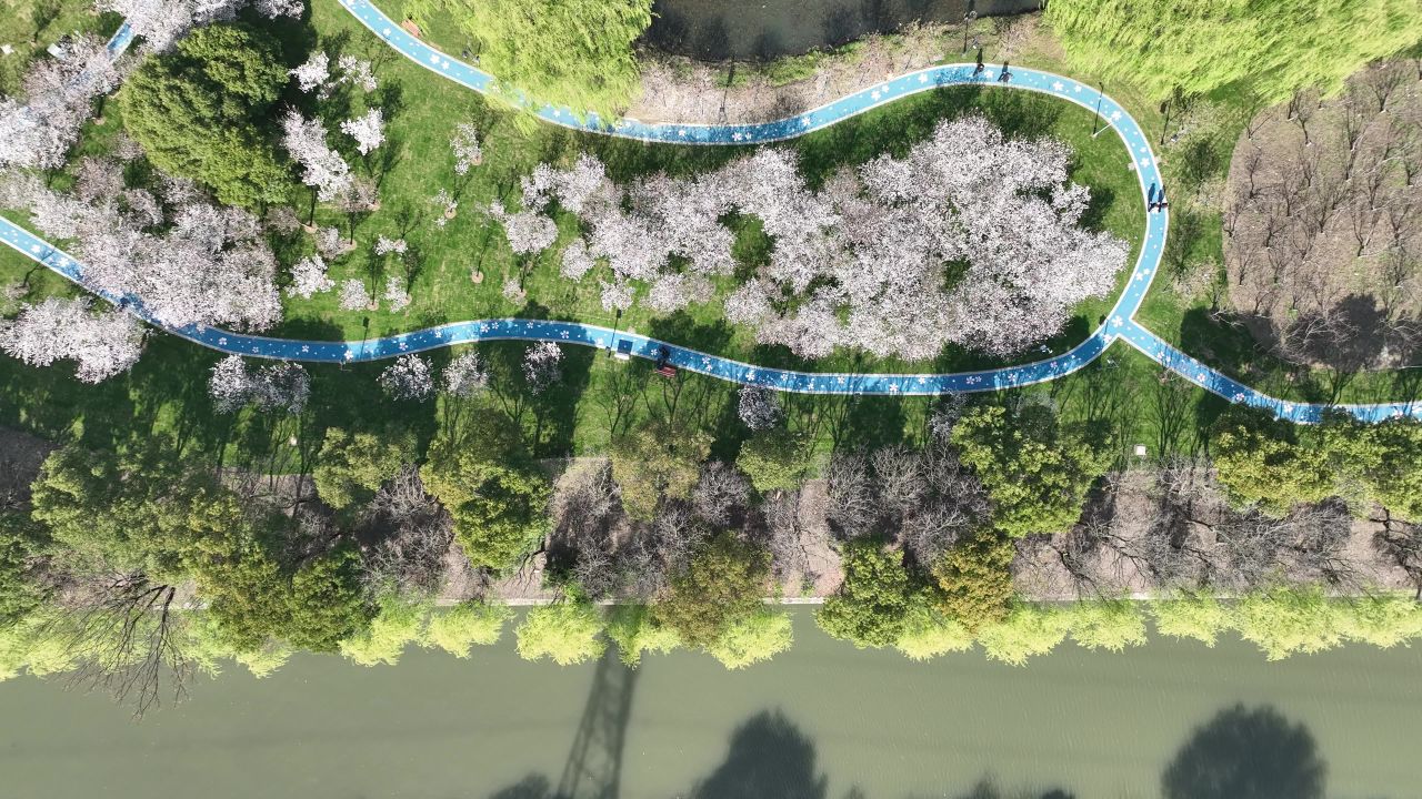 航拍昆山樱花园 2