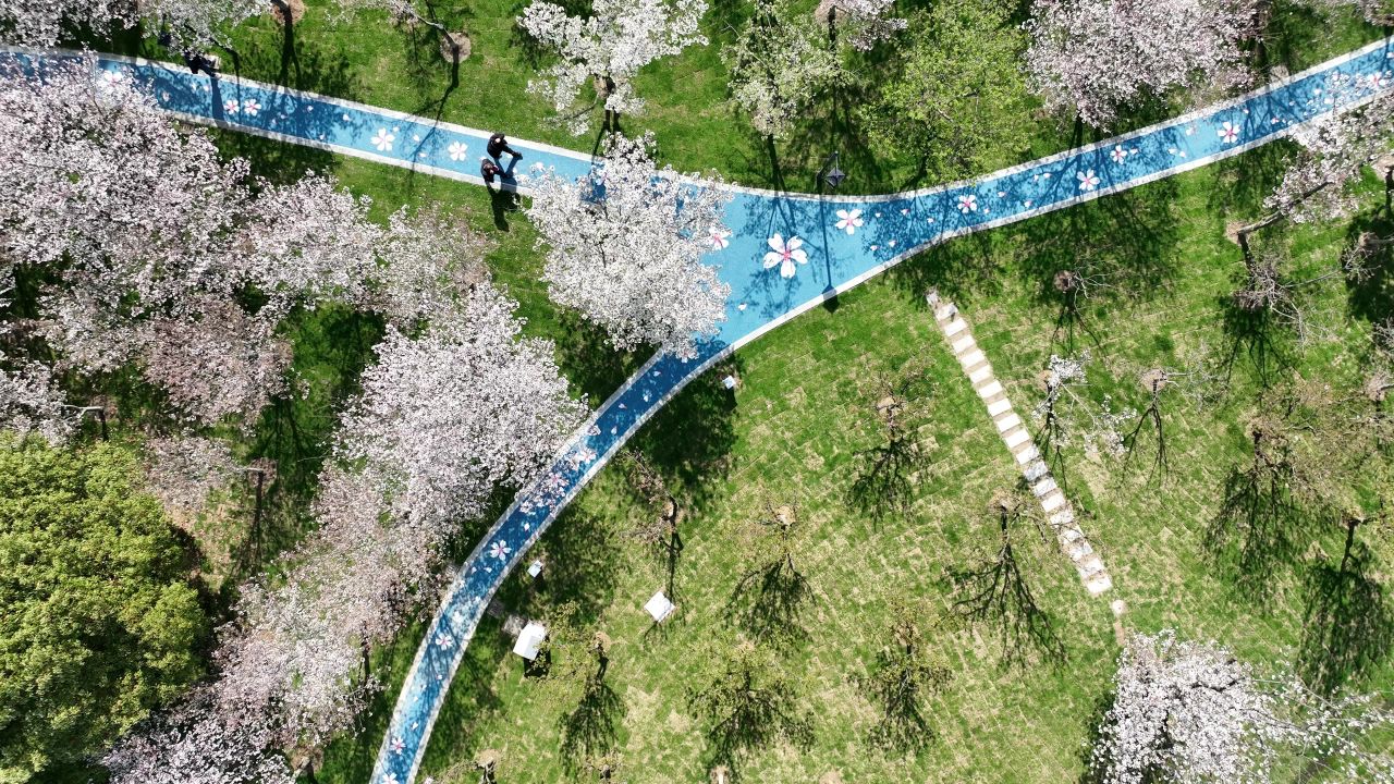 航拍昆山樱花园 3