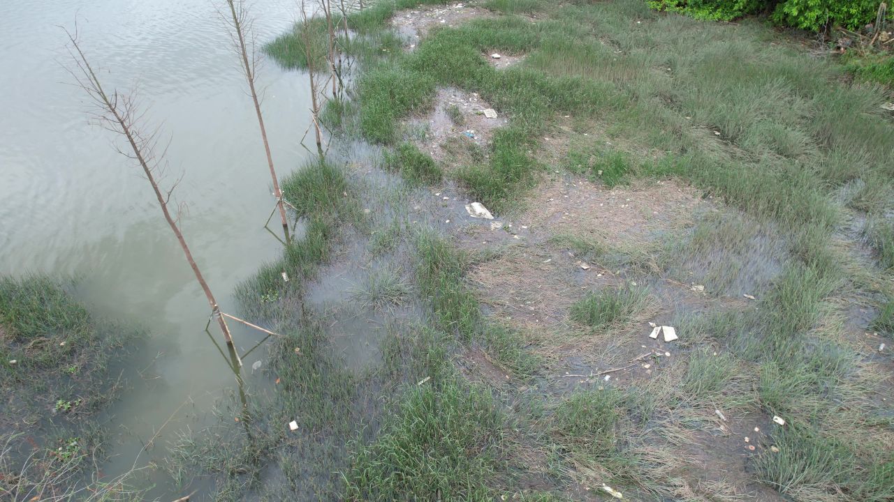 春天丰水期河岸航拍 18