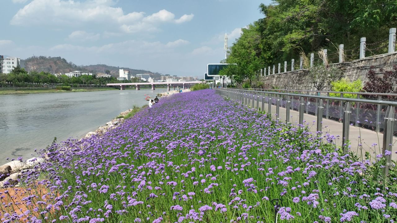 公园