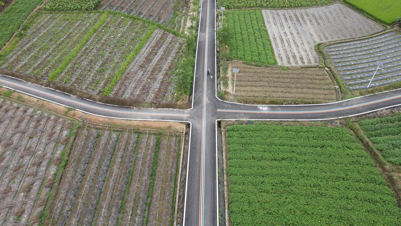 绿色稻田航拍 4