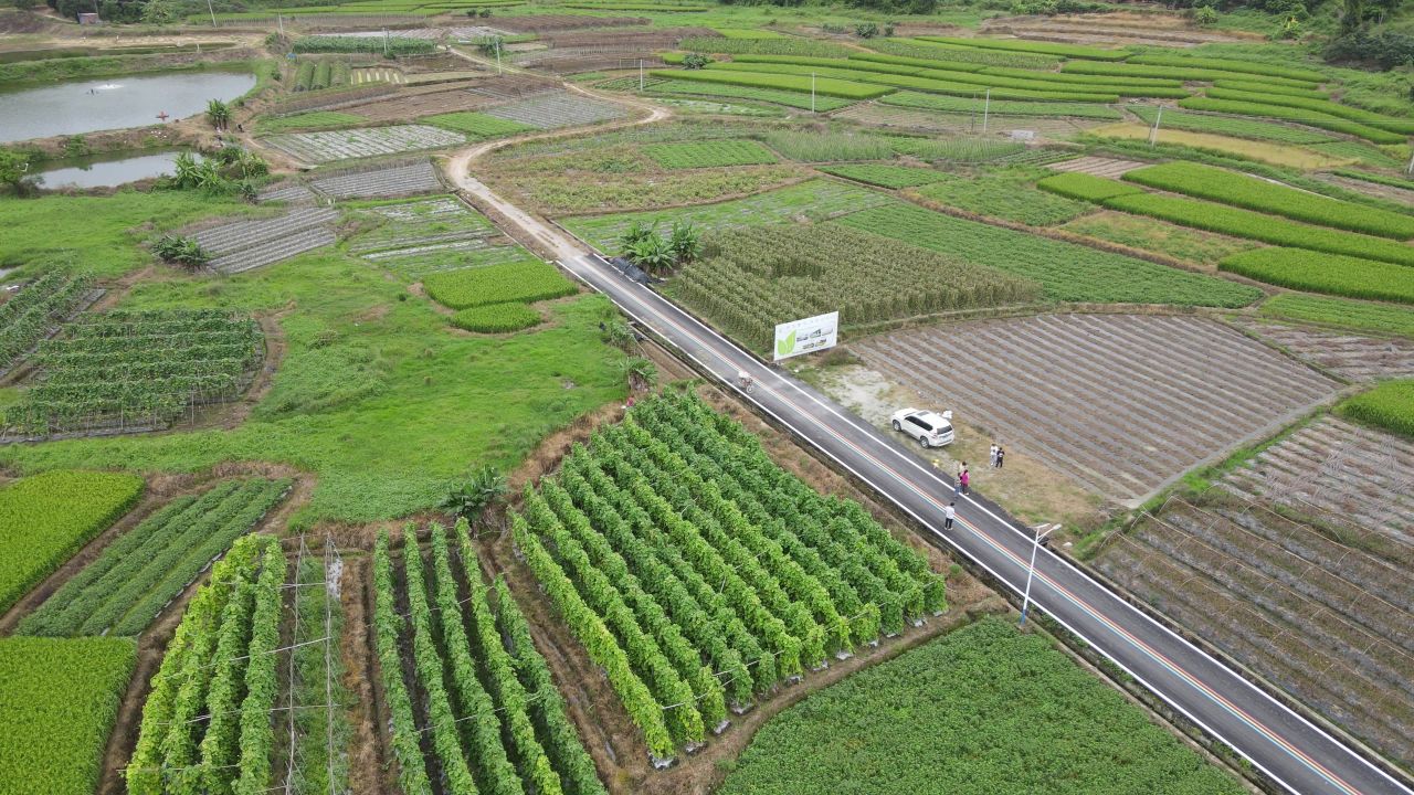绿色稻田航拍 5