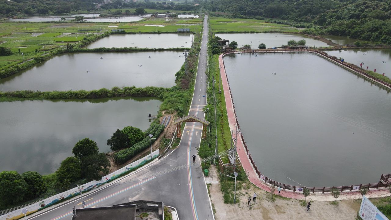农业农田航拍 8