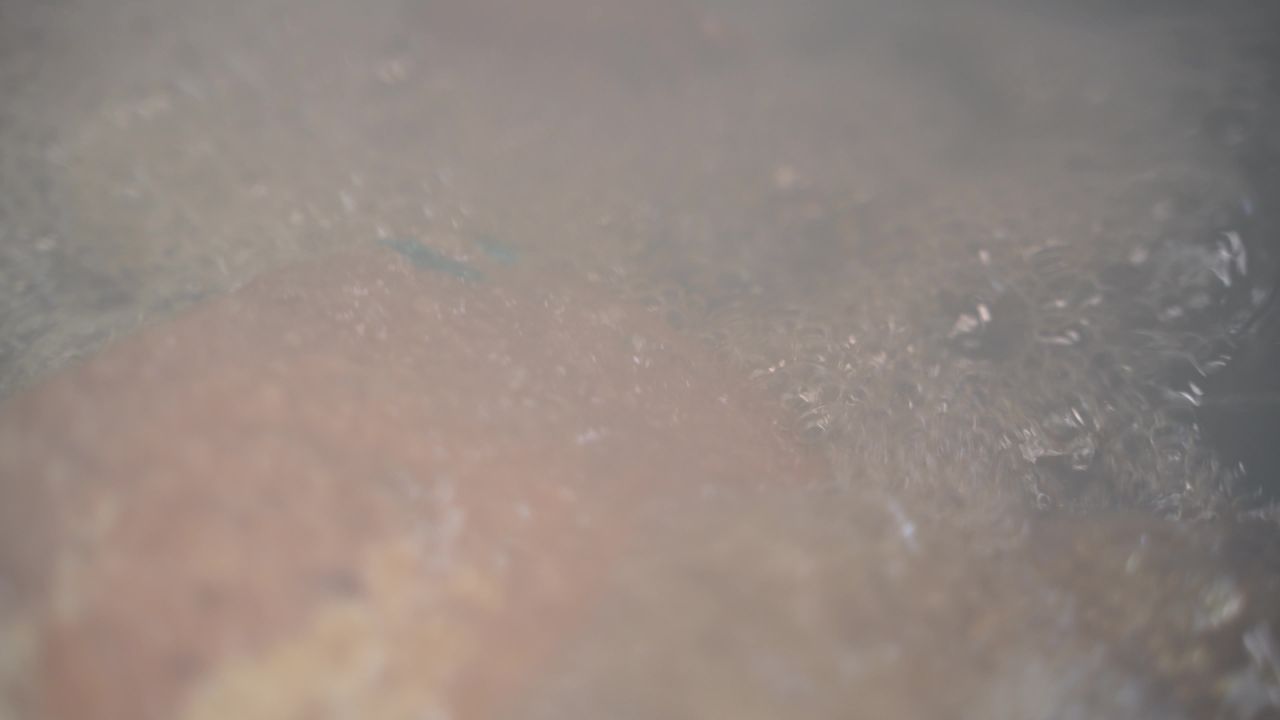 美食 79