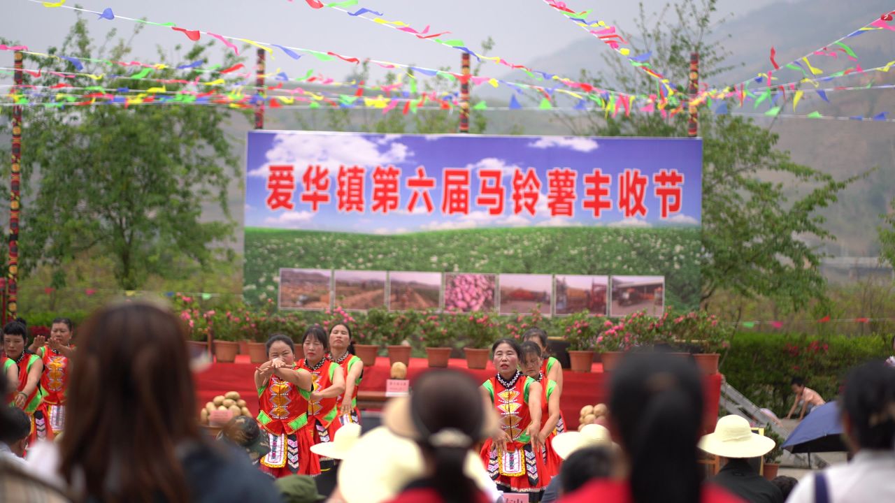 丰收 55