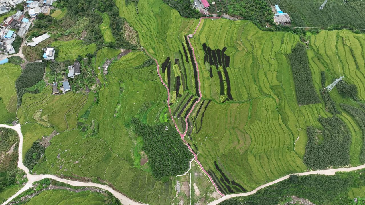 丰收的喜悦 8