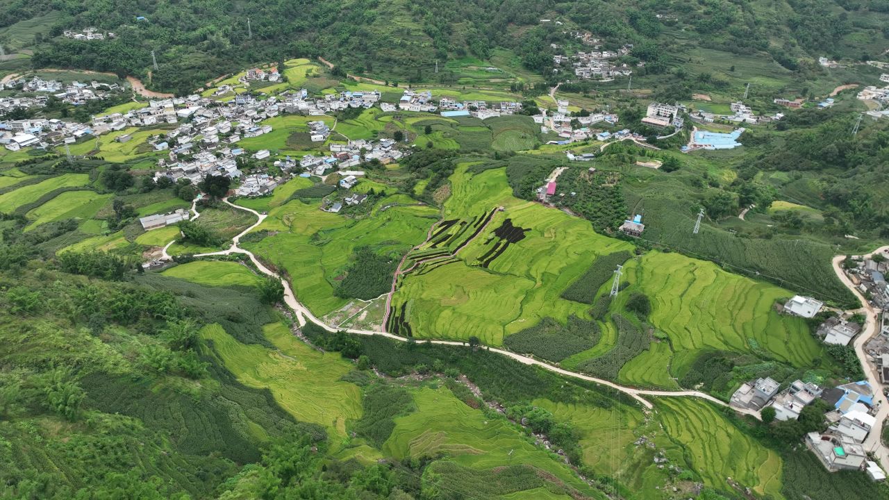 丰收的喜悦 10
