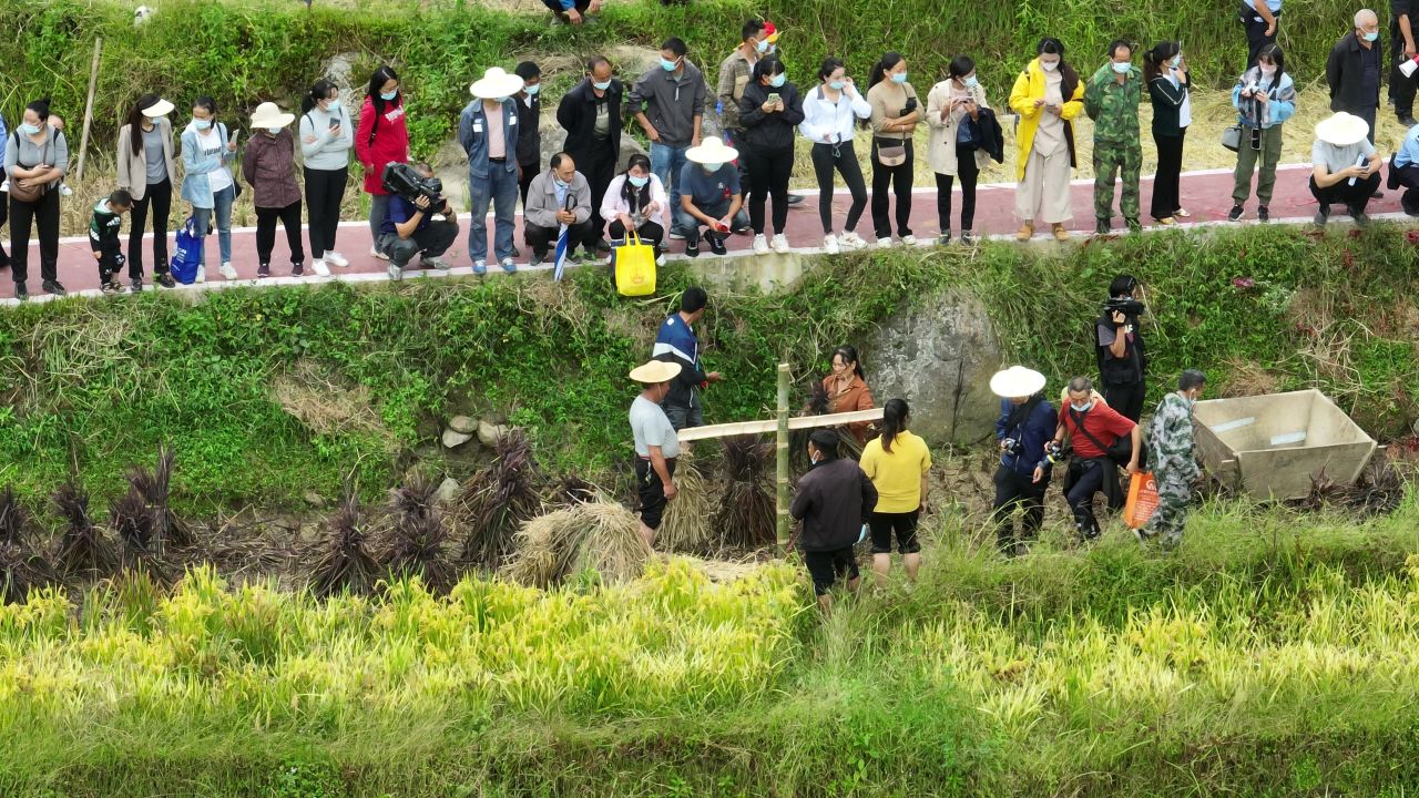 丰收的喜悦 87