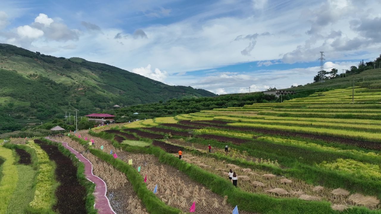 丰收的喜悦 41