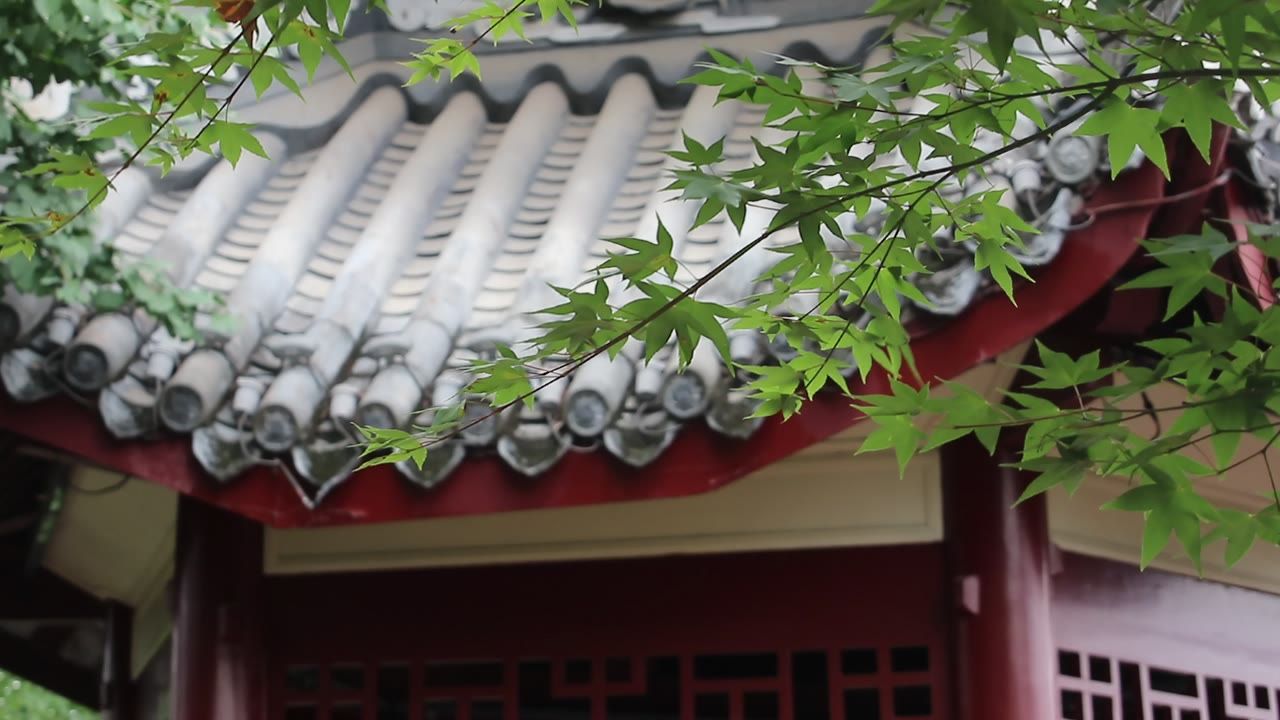 屋檐枫叶