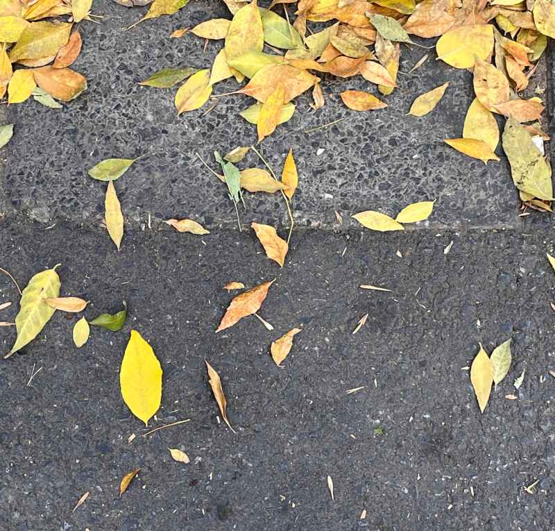 落地