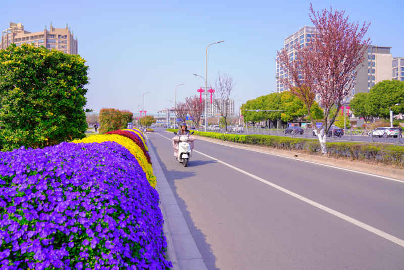 游园赏春 14