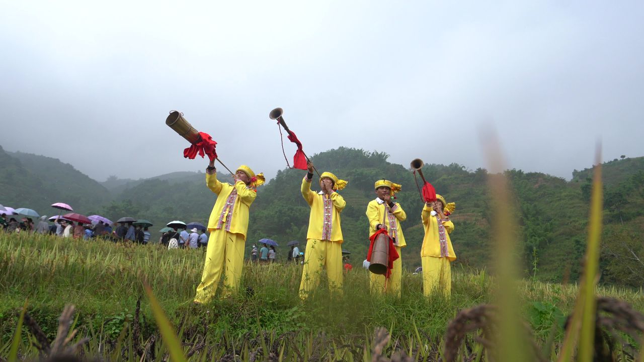 稻谷丰收节 59