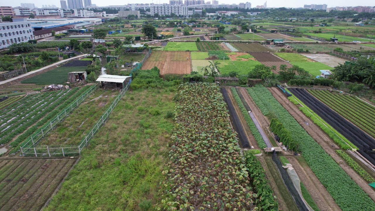 城郊农业基地航拍 15