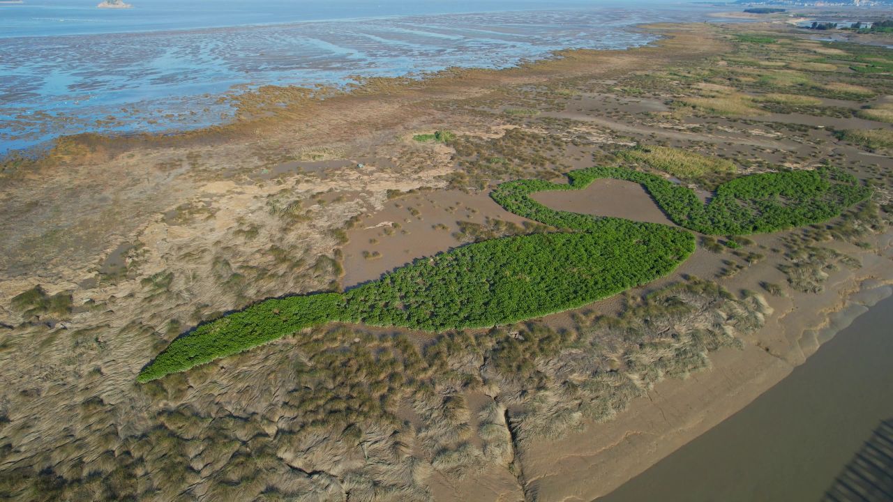 航拍福州闽江河口湿地公园 2