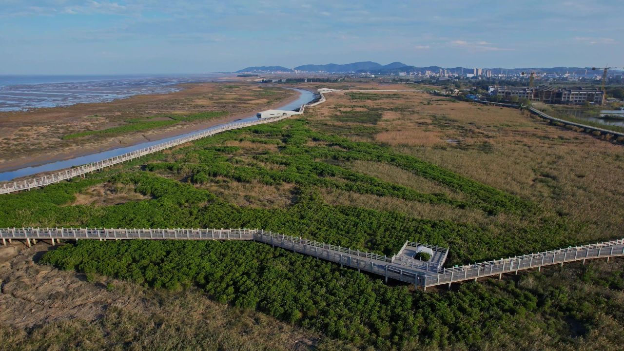 航拍福州闽江河口湿地公园 7