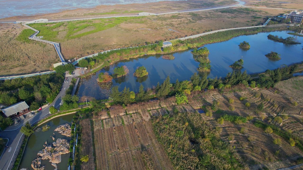 航拍福州闽江河口湿地公园 12