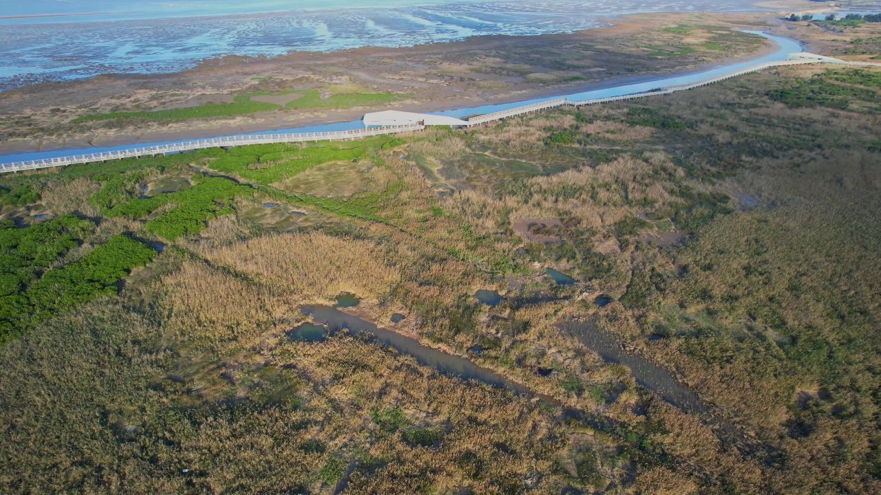 航拍福州闽江河口湿地公园 13
