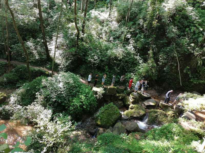 青城山