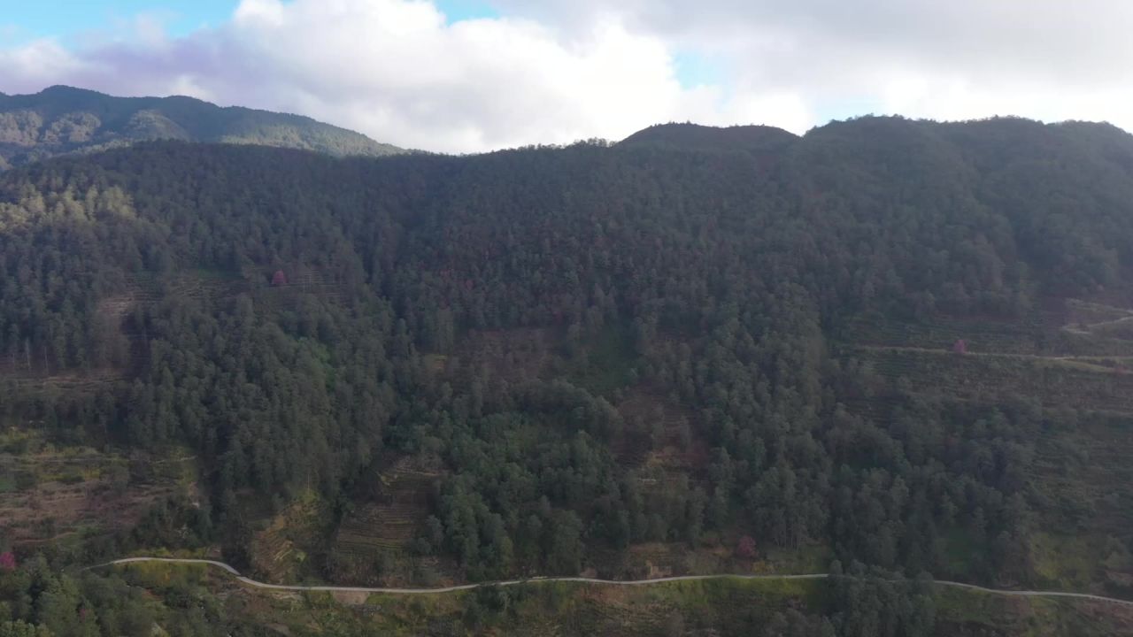 风景 2