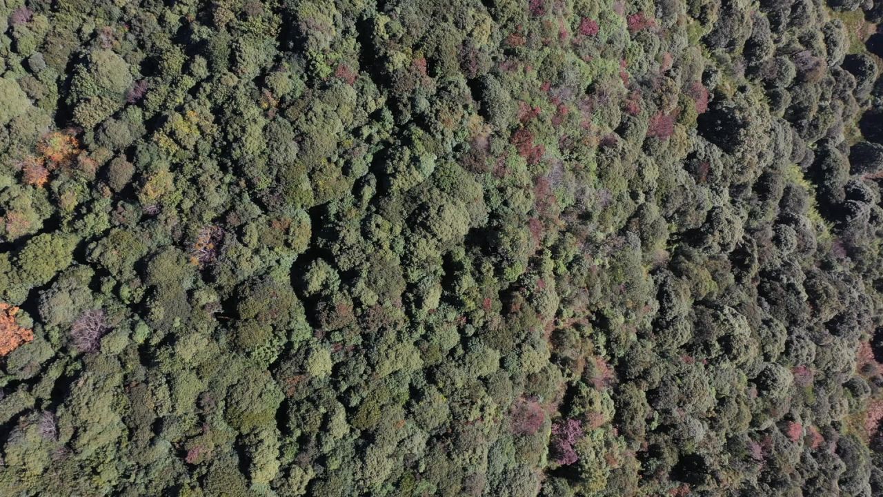 风景 31