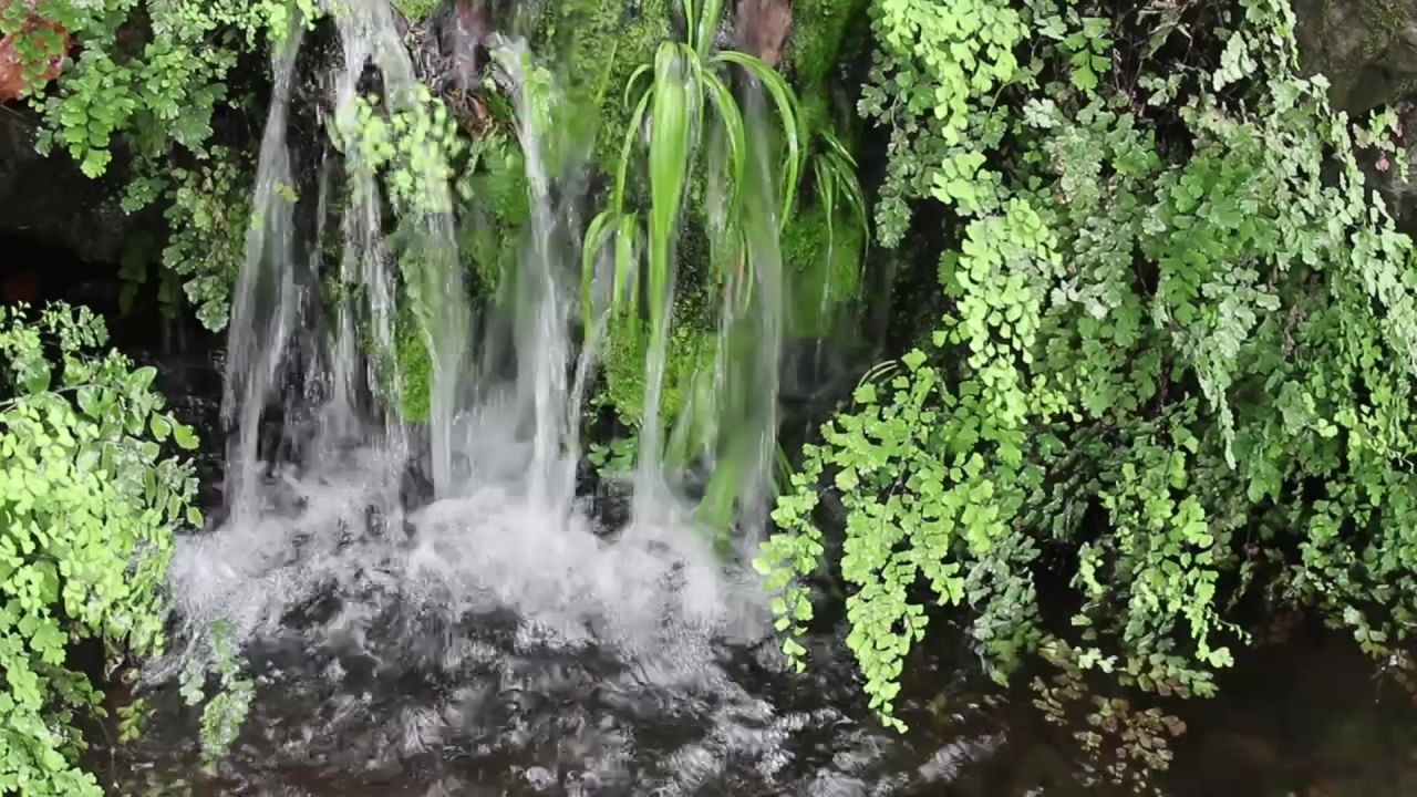 流水