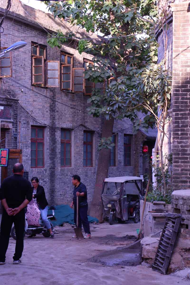 春游随拍1 34