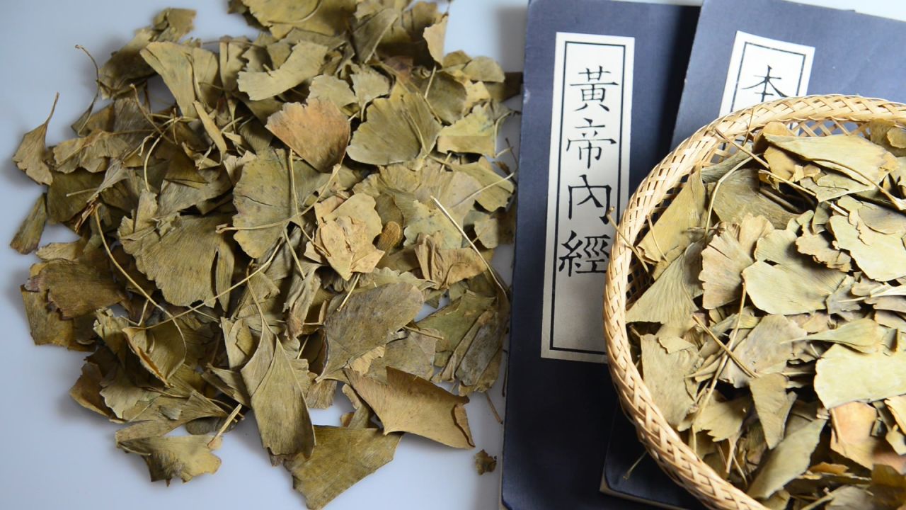 银杏树叶  9