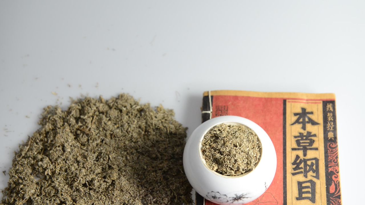 中药材茵陈 11